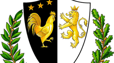 immagine dell'articolo