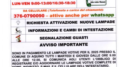 immagine dell'articolo