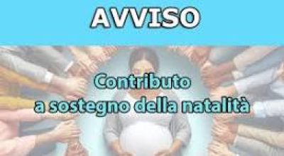 immagine dell'articolo