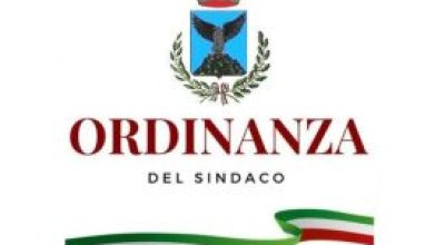 immagine dell'articolo
