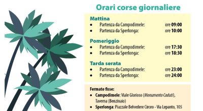 immagine dell'articolo