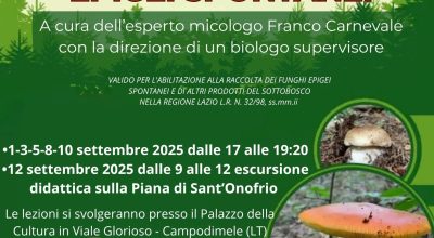 immagine dell'articolo