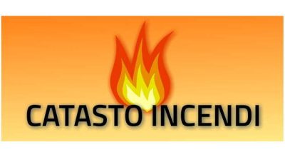 immagine dell'articolo