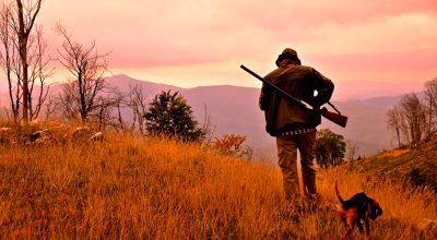 immagine dell'articolo