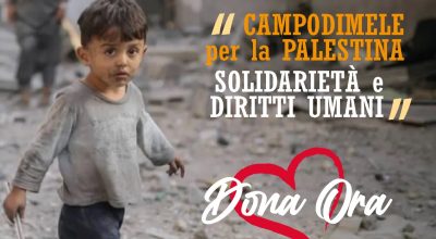 immagine dell'articolo