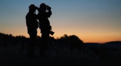 immagine dell'articolo