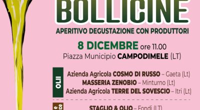 immagine dell'articolo