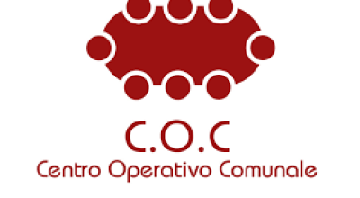 immagine dell'articolo