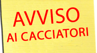 immagine dell'articolo