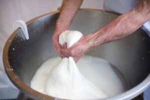 facciata