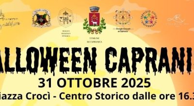 immagine dell'articolo