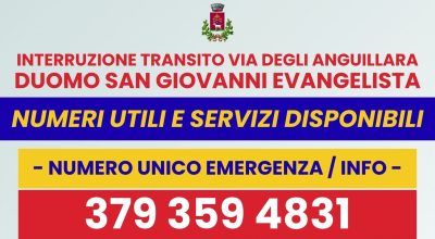 immagine dell'articolo