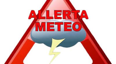 immagine dell'articolo