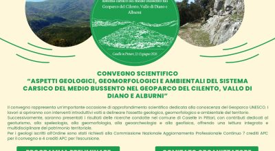immagine dell'articolo