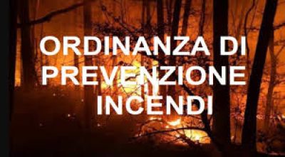 immagine dell'articolo