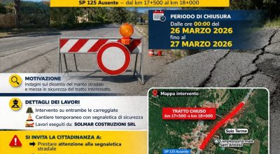 immagine dell'articolo