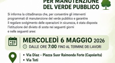 immagine dell'articolo