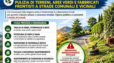 immagine dell'articolo