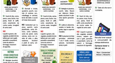 immagine dell'articolo