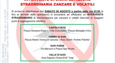immagine dell'articolo
