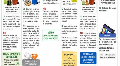 immagine dell'articolo