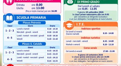 immagine dell'articolo