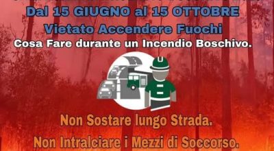immagine dell'articolo