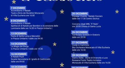 immagine dell'articolo