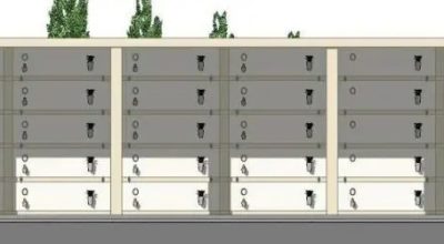 immagine dell'articolo