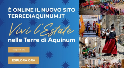 immagine dell'articolo