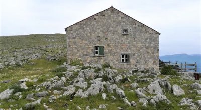 immagine dell'articolo