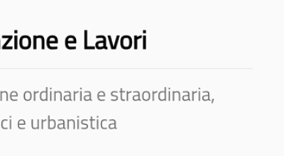 immagine dell'articolo