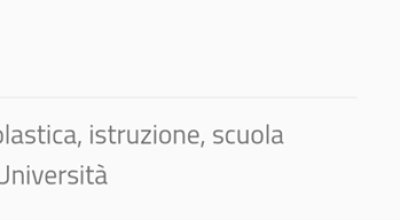 immagine dell'articolo