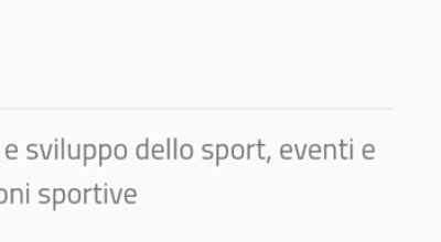 immagine dell'articolo