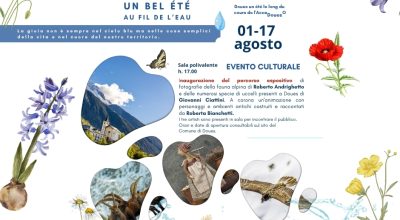 immagine dell'articolo