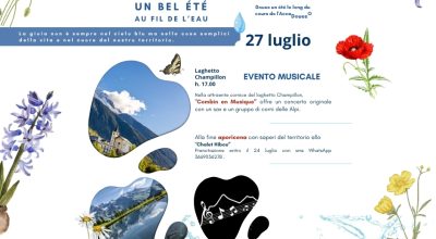 immagine dell'articolo