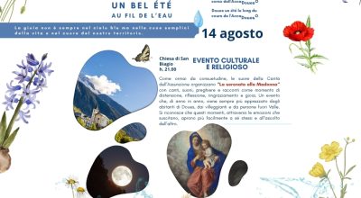 immagine dell'articolo