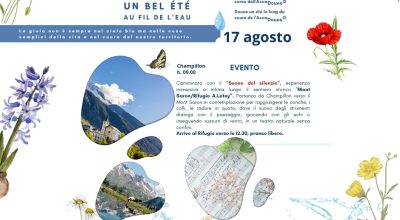 immagine dell'articolo
