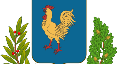 immagine dell'articolo