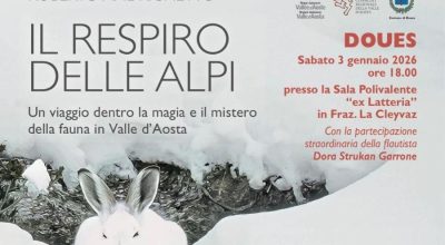 immagine dell'articolo