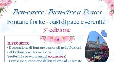 immagine dell'articolo
