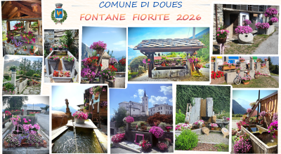 immagine dell'articolo