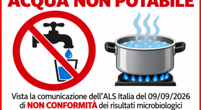 immagine dell'articolo