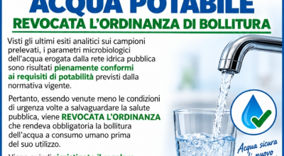 immagine dell'articolo