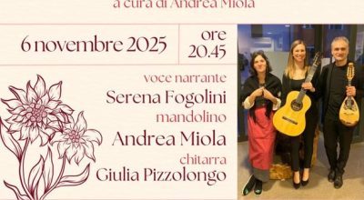 immagine dell'articolo