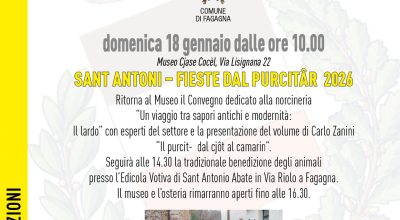 immagine dell'articolo