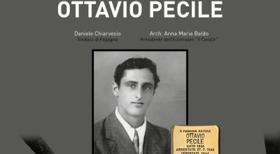 immagine dell'articolo