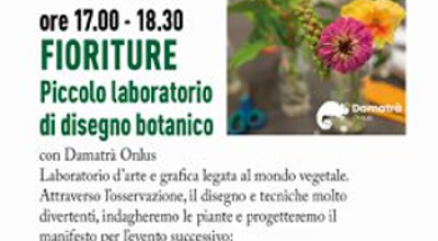 immagine dell'articolo