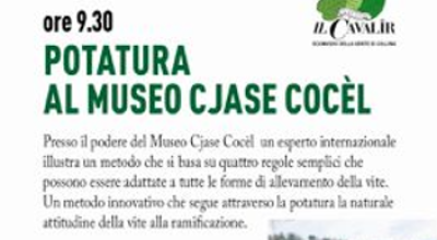 immagine dell'articolo