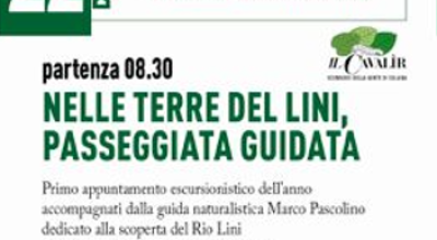 immagine dell'articolo